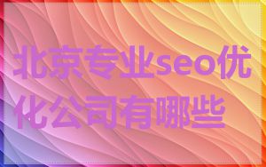 北京专业seo优化公司有哪些