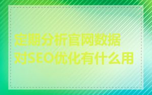 定期分析官网数据对SEO优化有什么用