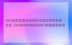 SEO自学需要具备哪些性格特质和思维方式_SEO自学的前景如何?发展前景如何