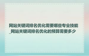 网站关键词排名优化需要哪些专业技能_网站关键词排名优化的预算需要多少