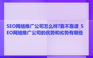 SEO网络推广公司怎么样?靠不靠谱_SEO网络推广公司的优势和劣势有哪些