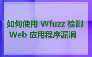 如何使用 Wfuzz 检测 Web 应用程序漏洞