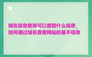 域名信息查询可以查到什么信息_如何通过域名查看网站的基本信息