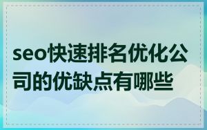 seo快速排名优化公司的优缺点有哪些