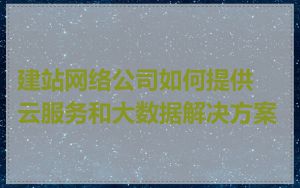 建站网络公司如何提供云服务和大数据解决方案