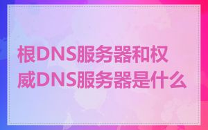 根DNS服务器和权威DNS服务器是什么