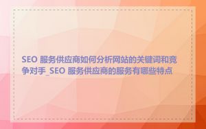 SEO 服务供应商如何分析网站的关键词和竞争对手_SEO 服务供应商的服务有哪些特点