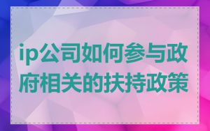 ip公司如何参与政府相关的扶持政策