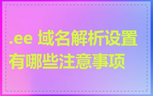 .ee 域名解析设置有哪些注意事项