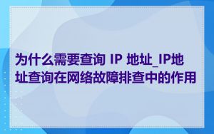 为什么需要查询 IP 地址_IP地址查询在网络故障排查中的作用