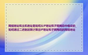 网络地址和主机地址是如何从IP地址和子网掩码中确定的_如何通过二进制运算计算出IP地址和子网掩码的网络地址