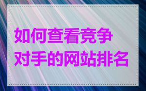 如何查看竞争对手的网站排名