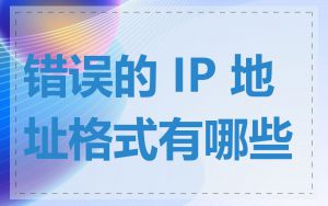 错误的 IP 地址格式有哪些