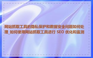 网站抓取工具的隐私保护和数据安全问题如何处理_如何使用网站抓取工具进行 SEO 优化和监测