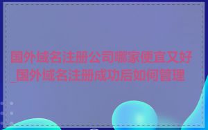 国外域名注册公司哪家便宜又好_国外域名注册成功后如何管理