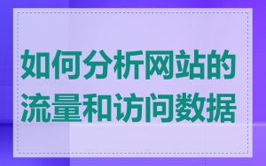 如何分析网站的流量和访问数据