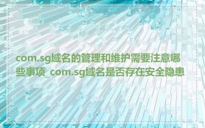 com.sg域名的管理和维护需要注意哪些事项_com.sg域名是否存在安全隐患