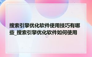 搜索引擎优化软件使用技巧有哪些_搜索引擎优化软件如何使用