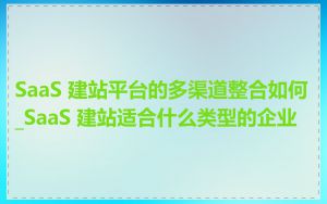 SaaS 建站平台的多渠道整合如何_SaaS 建站适合什么类型的企业