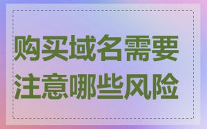 购买域名需要注意哪些风险