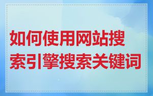 如何使用网站搜索引擎搜索关键词