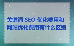 关键词 SEO 优化费用和网站优化费用有什么区别