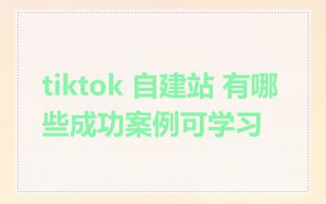 tiktok 自建站 有哪些成功案例可学习