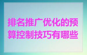 排名推广优化的预算控制技巧有哪些