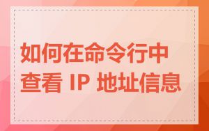 如何在命令行中查看 IP 地址信息