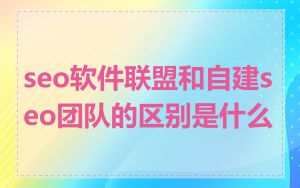 seo软件联盟和自建seo团队的区别是什么