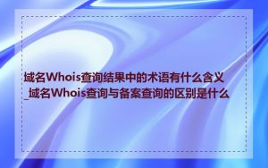 域名Whois查询结果中的术语有什么含义_域名Whois查询与备案查询的区别是什么