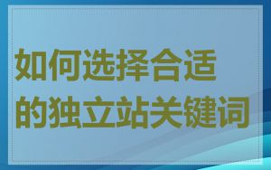 如何选择合适的独立站关键词