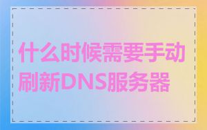 什么时候需要手动刷新DNS服务器