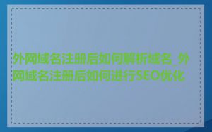 外网域名注册后如何解析域名_外网域名注册后如何进行SEO优化