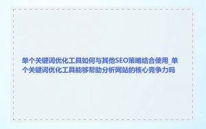 单个关键词优化工具如何与其他SEO策略结合使用_单个关键词优化工具能够帮助分析网站的核心竞争力吗