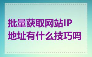 批量获取网站IP地址有什么技巧吗