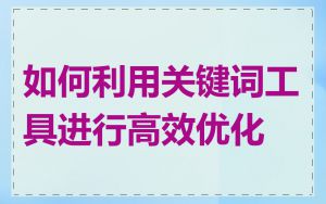 如何利用关键词工具进行高效优化