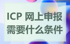 ICP 网上申报需要什么条件