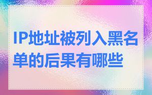 IP地址被列入黑名单的后果有哪些