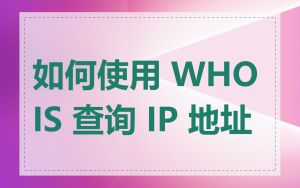 如何使用 WHOIS 查询 IP 地址