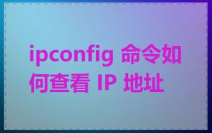 ipconfig 命令如何查看 IP 地址