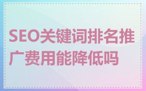 SEO关键词排名推广费用能降低吗