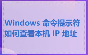 Windows 命令提示符如何查看本机 IP 地址