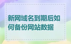 新网域名到期后如何备份网站数据