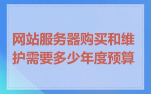 网站服务器购买和维护需要多少年度预算