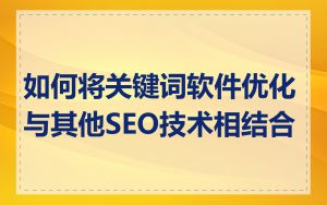 如何将关键词软件优化与其他SEO技术相结合