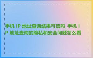 手机 IP 地址查询结果可信吗_手机 IP 地址查询的隐私和安全问题怎么看