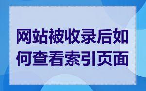 网站被收录后如何查看索引页面