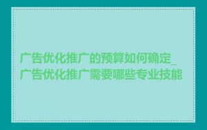 广告优化推广的预算如何确定_广告优化推广需要哪些专业技能