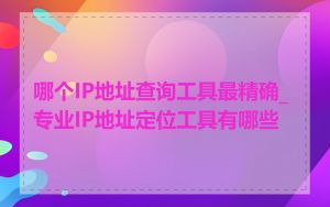 哪个IP地址查询工具最精确_专业IP地址定位工具有哪些